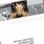 brucella brucella