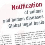 notification notification