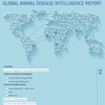 global_report global_report
