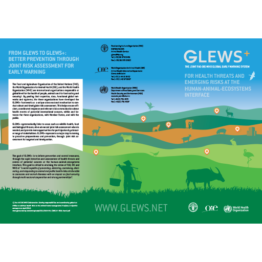 GLEWS+ brochure