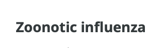 Zoonotic influenza infographic