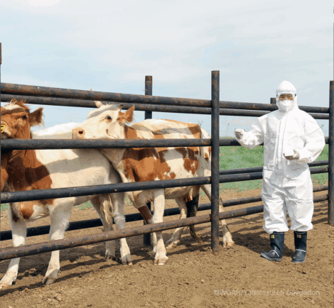 WOAH - Substandard and Falsified Veterinary Products 