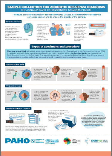 Respiratory sample collection for zoonotic influenza diagnosis (Influenza A/H5 and other zoonotic influenza viruses).