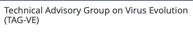 Technical Advisory Group on Virus Evolution (TAG-VE)