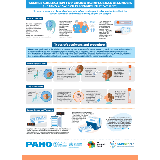 Infographic – Respiratory sample collection for zoonotic influenza diagnosis (Influenza A/H5 and other zoonotic influenza viruses)