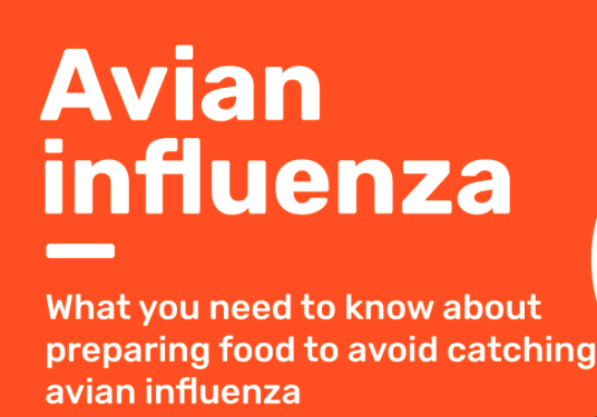 Avian Influenza – Preparing Food Safely (infographic)