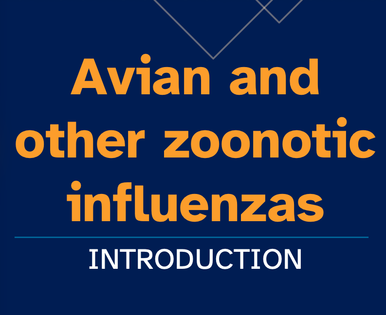Zoonotic Influenza (OpenWHO course) 