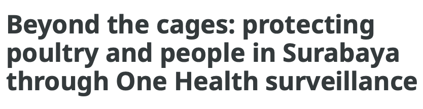 Member States Webstories – Indonesia