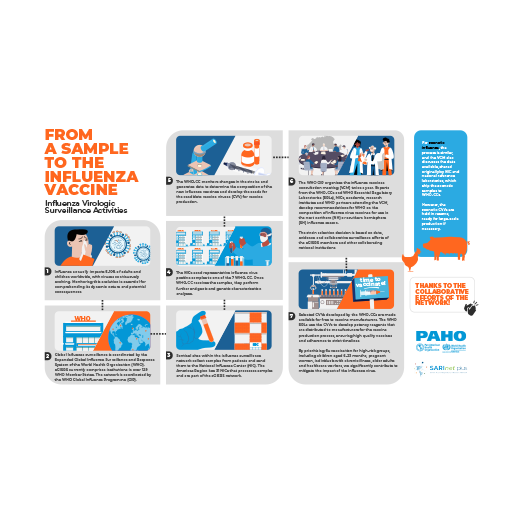 Infographic – From Sample to Influenza Vaccine
