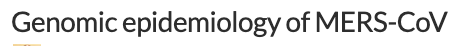 MERS Nextstrain