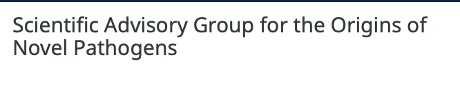 Scientific Advisory Group for the Origins of Novel Pathogens